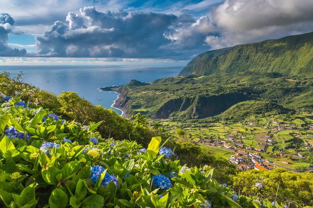 Flowers and coastline in Flores island, Azores