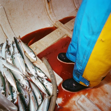 ‘Will, fishing for mackerel at Newlyn.’ From the series ‘A Fish Called Julie’ by Jon Tonks.