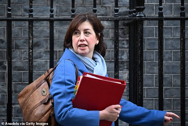 Leader of the commons Lucy Powell (pictured) has joined him in expressing worries over the scheme