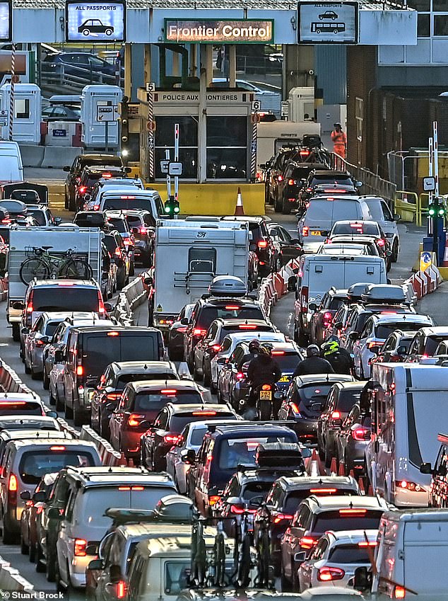 The technology has been proposed to cut the mammoth queues at Britain's coasts and airports during the holiday season. Pictured: Queues at the port of Dover in July last year due to border control checks