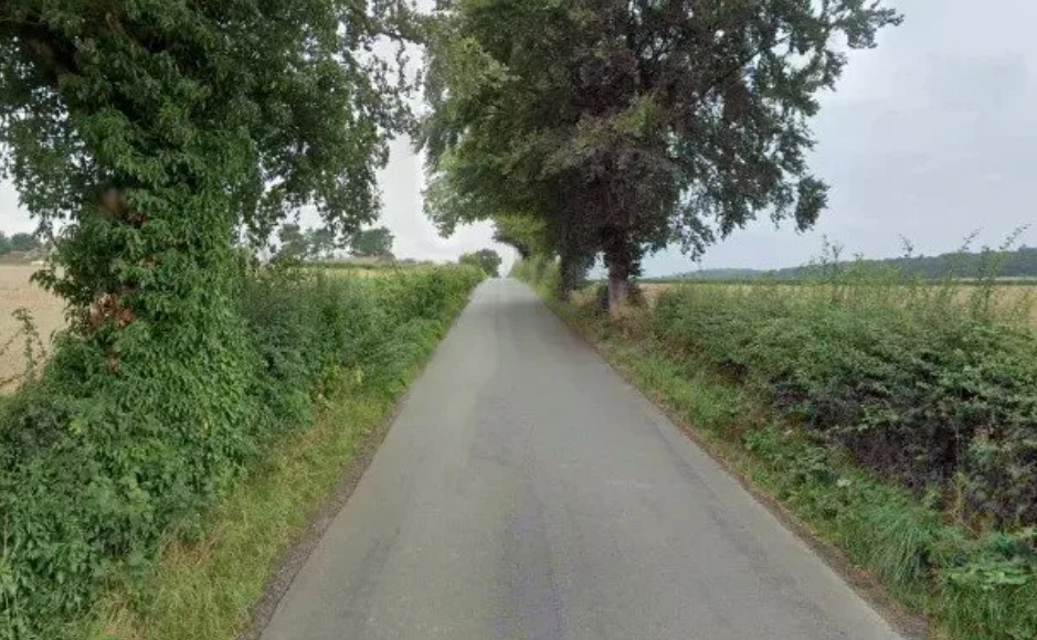 Offoxey Road, tree-lined country lane.