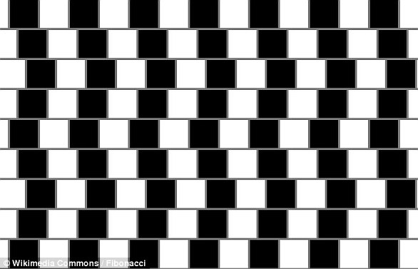 When alternating columns of dark and light tiles are placed out of line vertically, they can create the illusion that the rows of horizontal lines taper at one end. The effect depends on the presence of a visible line of gray mortar between the tiles