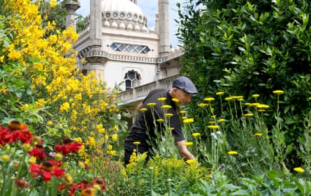 The head gardener at the Royal Pavilion gardens: he stands in a bed of tall yellow flowers with red flowers in the foreground and the Pavilion in the background.