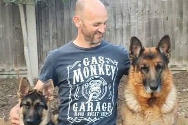 Elias Vorrias is a german shepherd breeder