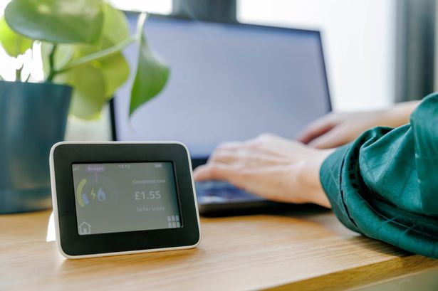A home smart meter on a desk showing energy consumption, a potted indoor plant and woman hands typing on a laptop in the background