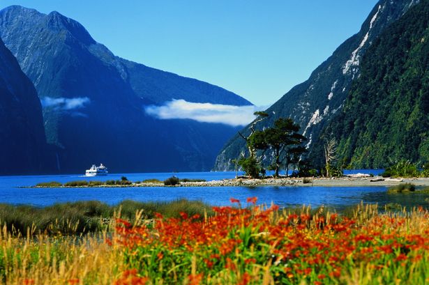 New Zealand, South Is., Milford Sound, view across fjord and shore