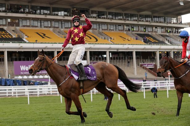 Minella Indo wins the 2021 Cheltenham Gold Cup