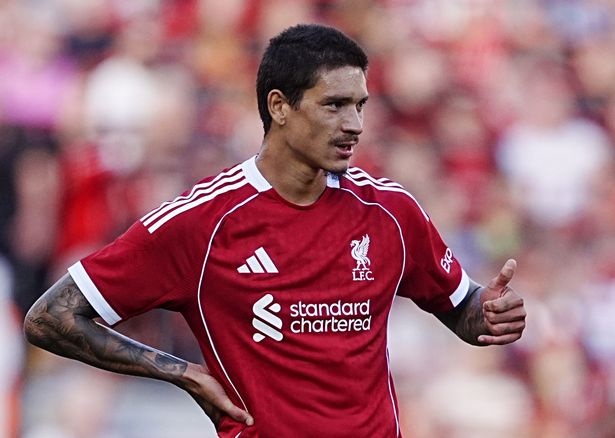 Darwin Nunez during pre-season for Liverpool