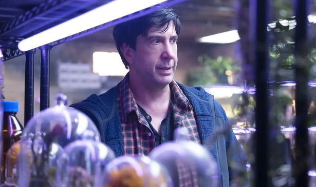 David Schwimmer as Anthony Brewer