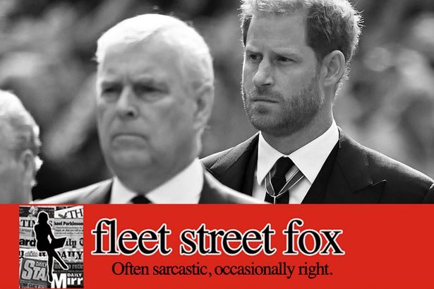 'If Prince Harry had whacked his Uncle Andrew, we'd all think better of him for it'