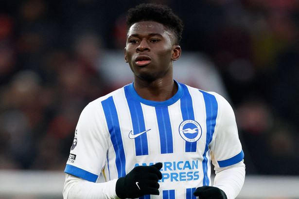 Carlos Baleba playing for Brighton