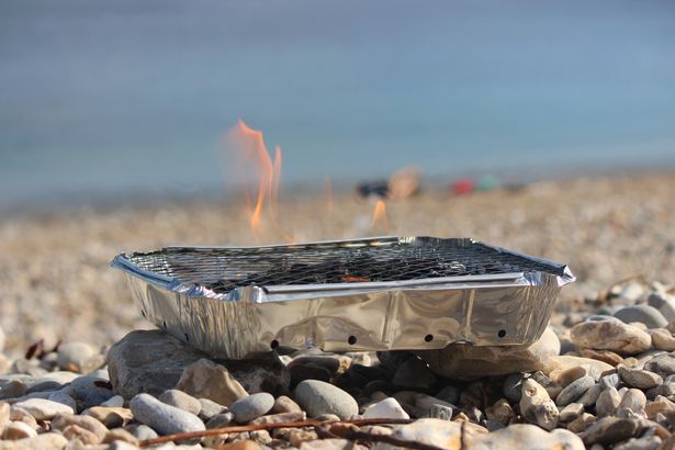Disposable barbecues are a leading cause of accidentally-started wildfires, according to fire chiefs