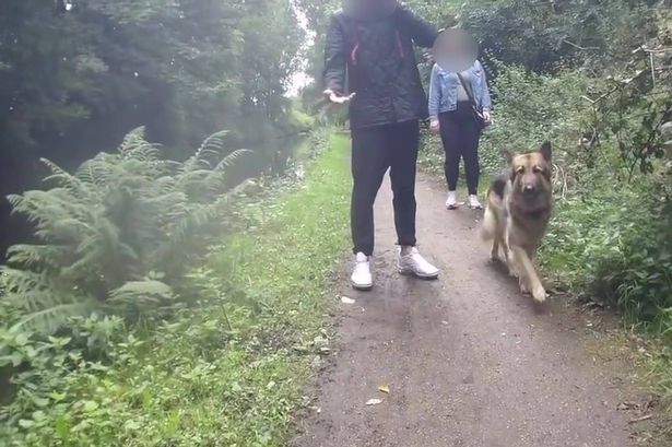 The moment before a cyclist was pushed into Ashton Canal by a dog walker