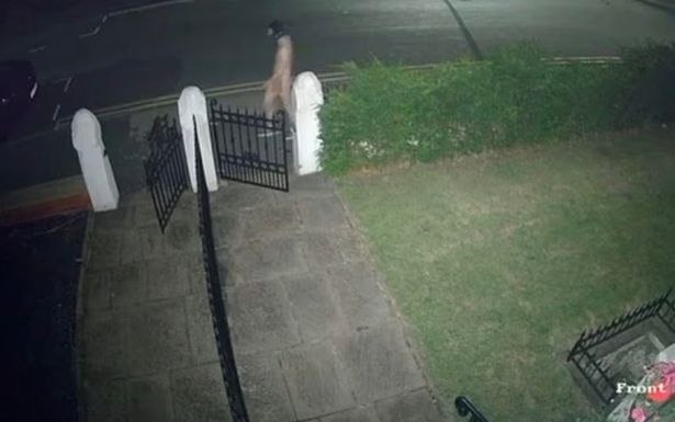 Police are looking for the man 