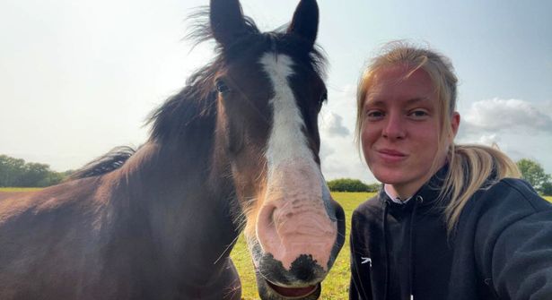 Jarvis next to a horse