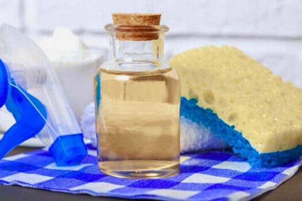 Picture of homemade weed killer solution