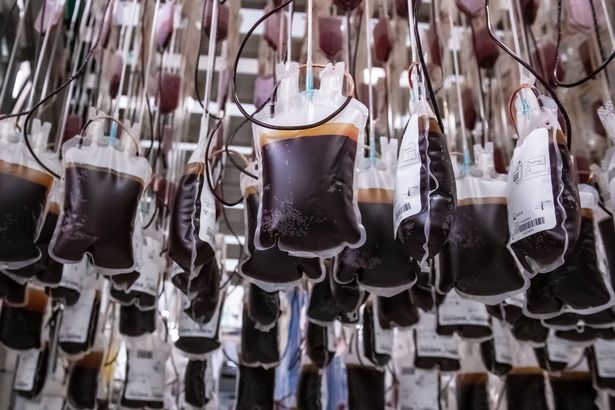 Donations at the biggest NHS blood processing plant in Bristol