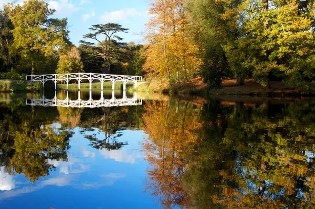 White Bridge at Painshill Park