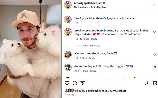 A post by Brooklyn Beckham liked by his dad David Beckham on Instagram.