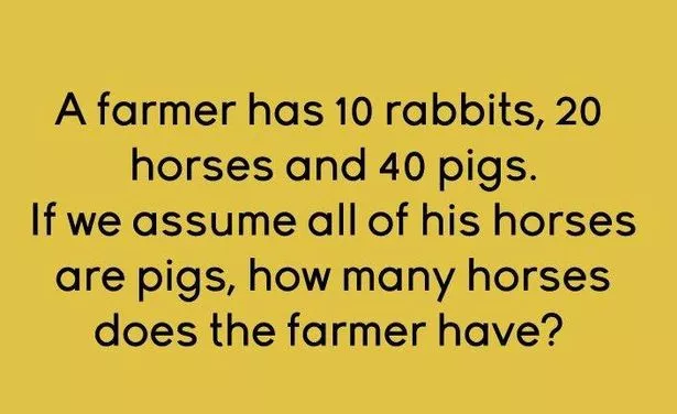 Brainteaser riddle