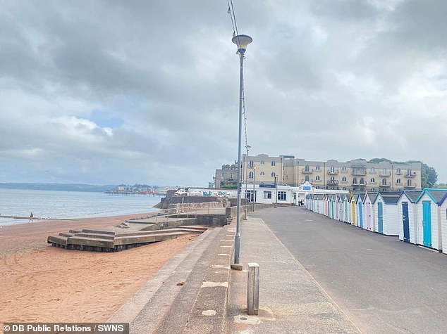 The two-bedroom apartment in Paignton, Devon - aptly named Sea Breeze - was listed for just £1 when it went up for auction in July