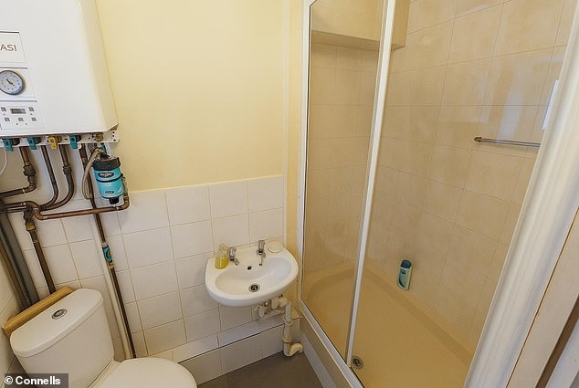 Here is a photo showing a more muted colour palette as well as a front door handle