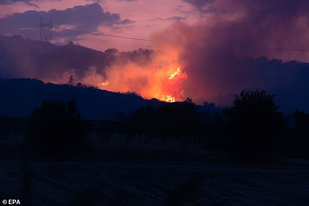 Wildfires have also erupted Greece. Pictured: Smoke rises from a wildfire that broke out early hours in the area of Assiros, in the outskirts of Thessaloniki, northern Greece, 30 July 2025
