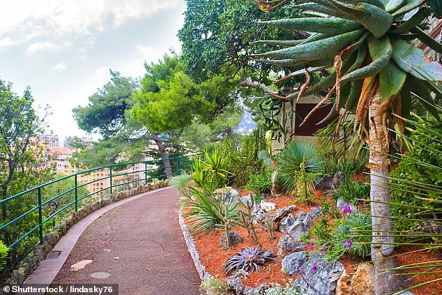 Pictured: Saint-Martin Gardens in Monaco