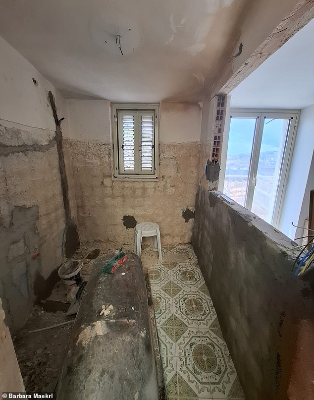 Scale: Barbara told the Daily Mail that she believes her renovation costs will be manageable