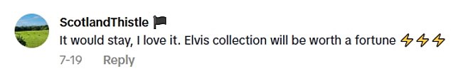 TikTok users reacted overwhelmingly positively to the property's homage to the American singer