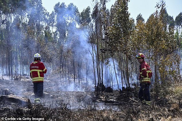 Firefighters survey the damage from a wildfire on Wednesday which required 3,000 firefighters, security and rescue workers to control