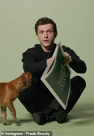 The Prada puppies appeared to be very taken wit the Spider-Man star