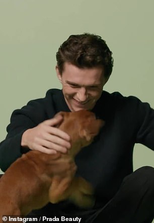 Tom's appearance in Glasgow comes amid a very busy time for the actor after he was named the new face of Prada's Paradigme Fragrance ¿ and posed with some adorable puppies to promote it