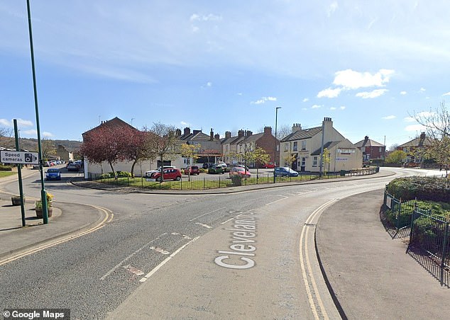 The rat, which has a potentially record-breaking size in UK terms, was discovered recently in a property in the Normanby area by a pest controller who had been called to investigate. Pictured: Stock photo of the Normanby area