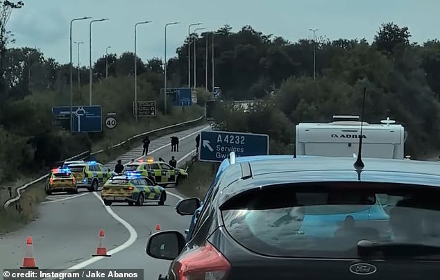 A cluster of four police cars can be seen confronting the animal but it stubbornly stands its ground