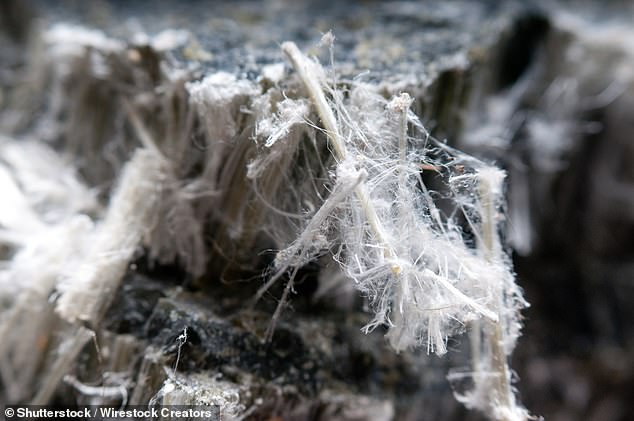 Over the past nine years, since a military mesothelioma compensation scheme was introduced, Ministry of Defence figures show there have been 803 payouts totalling £112.5million. All of the claimants were terminally ill. Pictured: asbestos fibres