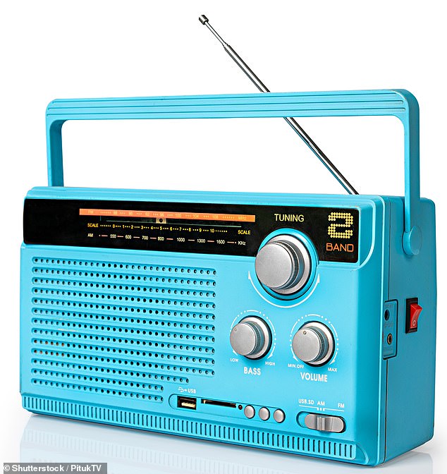 Mr McFadden said: 'It's sensible to have a couple of torches, a battery or a wind-up radio, perhaps some spare batteries, a couple of bottles of water' (stock image)