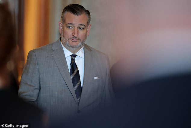 Bradner said Ted Cruz could also be a contender, noting he beat out Trump in Iowa in the 2016 race