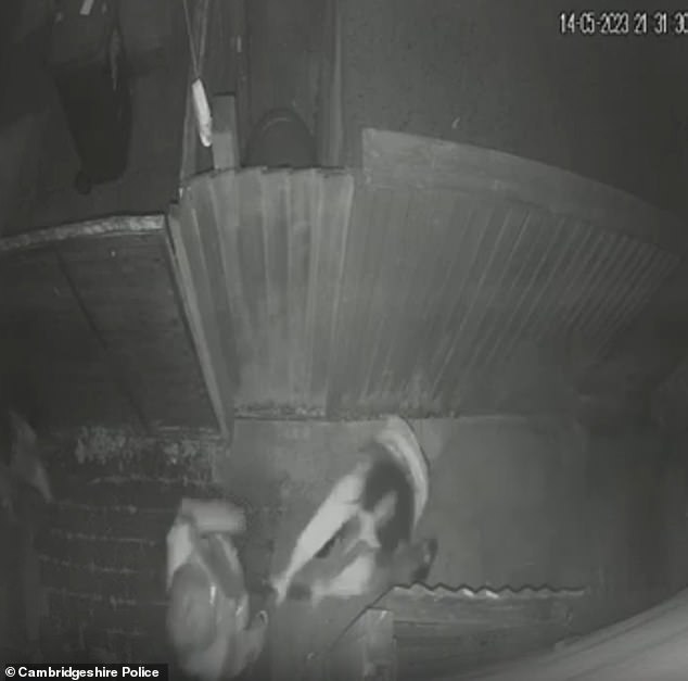 Footage then captures the moment Lloyd hit her neighbour over the head with her spade