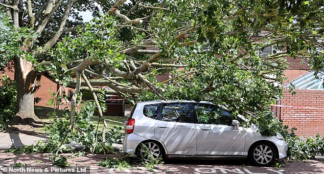 High Winds cause a tree to crash onto a car on Alexandra Road in the Bensham area of Gateshead