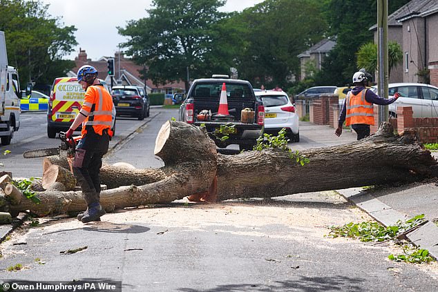 Workers cut up a tree which was felled by the wind on Plessey Road in Blyth, Northumberland