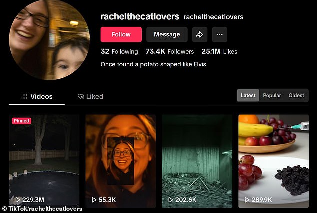 The TikTok account behind the viral clip, @rachelthecatlovers, has a page containing other clearly AI-generated videos