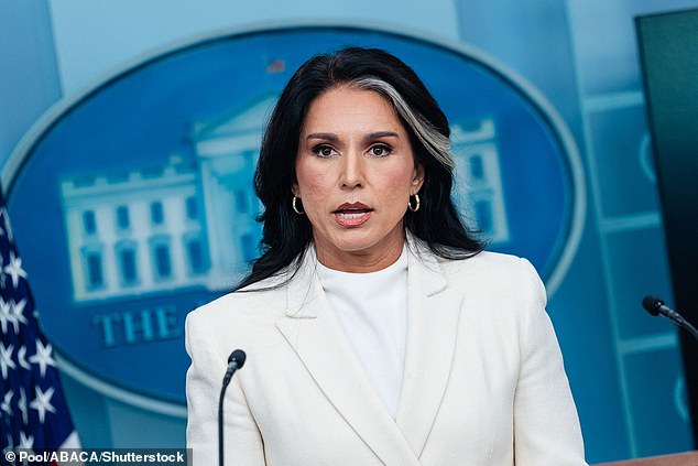 It's her first action taken after Director of National Intelligence Tulsi Gabbard (pictured) sent criminal referrals to DOJ alleging former President Barack Obama and his officials conspired to create the 'Russian collusion hoax'