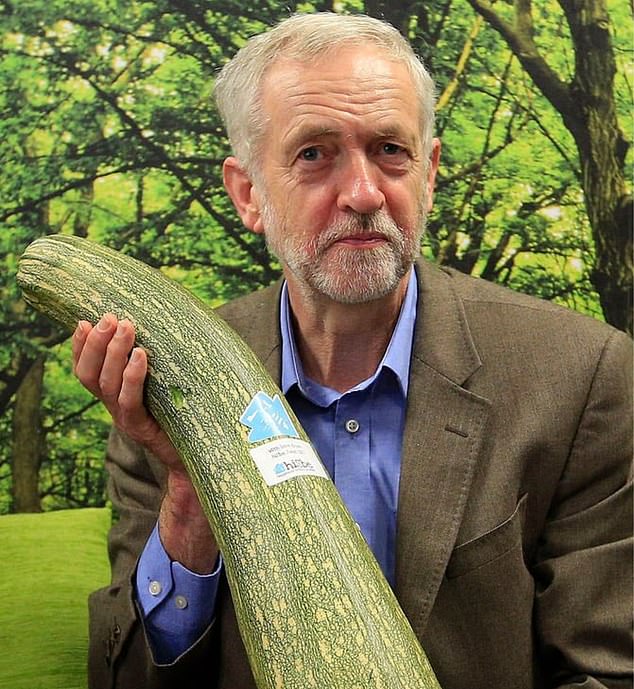 Jeremy Corbyn, who has previously descibed marrows as his favourite vegetable, has hit out at Angela Rayner for allowing cash-strapped local councils to sell off allotments