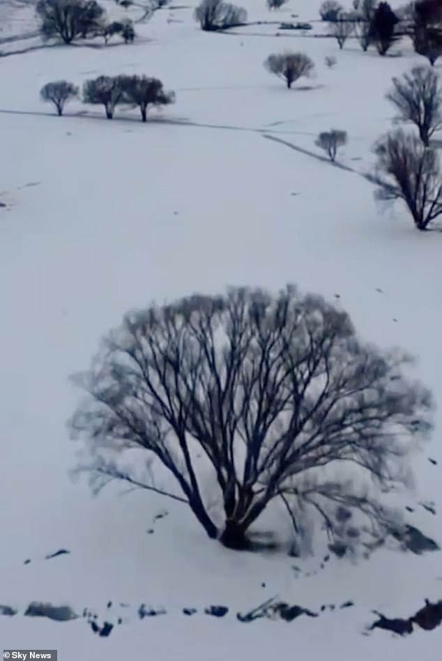 Parts of the state's New England North West region received their deepest snow in 20 years, state broadcaster Australian Broadcasting Corp reported