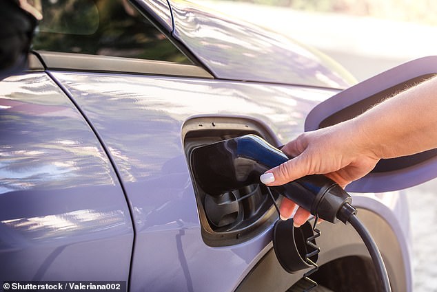 New car sales fell 5% last month as motor industry bosses said Britons had 'delayed' purchases of electric vehicles as they awaited confirmation of Government-supplied discounts