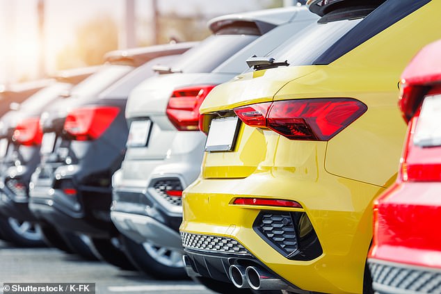 Sales of new petrol, diesel and conventional hybrid cars all stalled, falling 15%, 8% and 11% respectively last month. And while plug-in hybrid registrations were up a third, growth in EV demand eased to just 9%