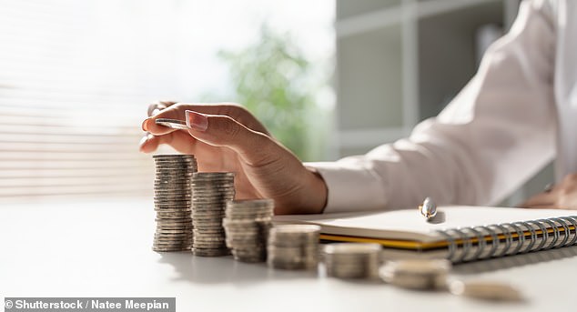 Ms Reeves reportedly considered cutting the tax-free allowance on cash Isas to encourage more people to invest in shares and boost the economy (Stock image)