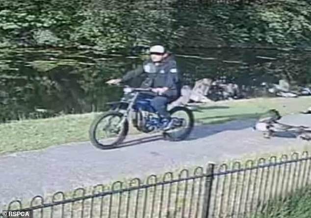 The public are being encouraged to come forward with any information on the attacker who has been described as in his 20s or 30s, of a medium build and with 'curtain-style' hair