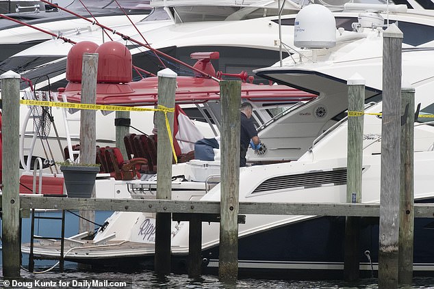 One boater at the scene described the ship, named Ripple, as a 'party boat' and told Daily Mail that she heard screams